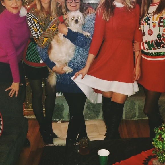 Mrs. Claus dress, sz Small, stretchy - Picture 2 of 3